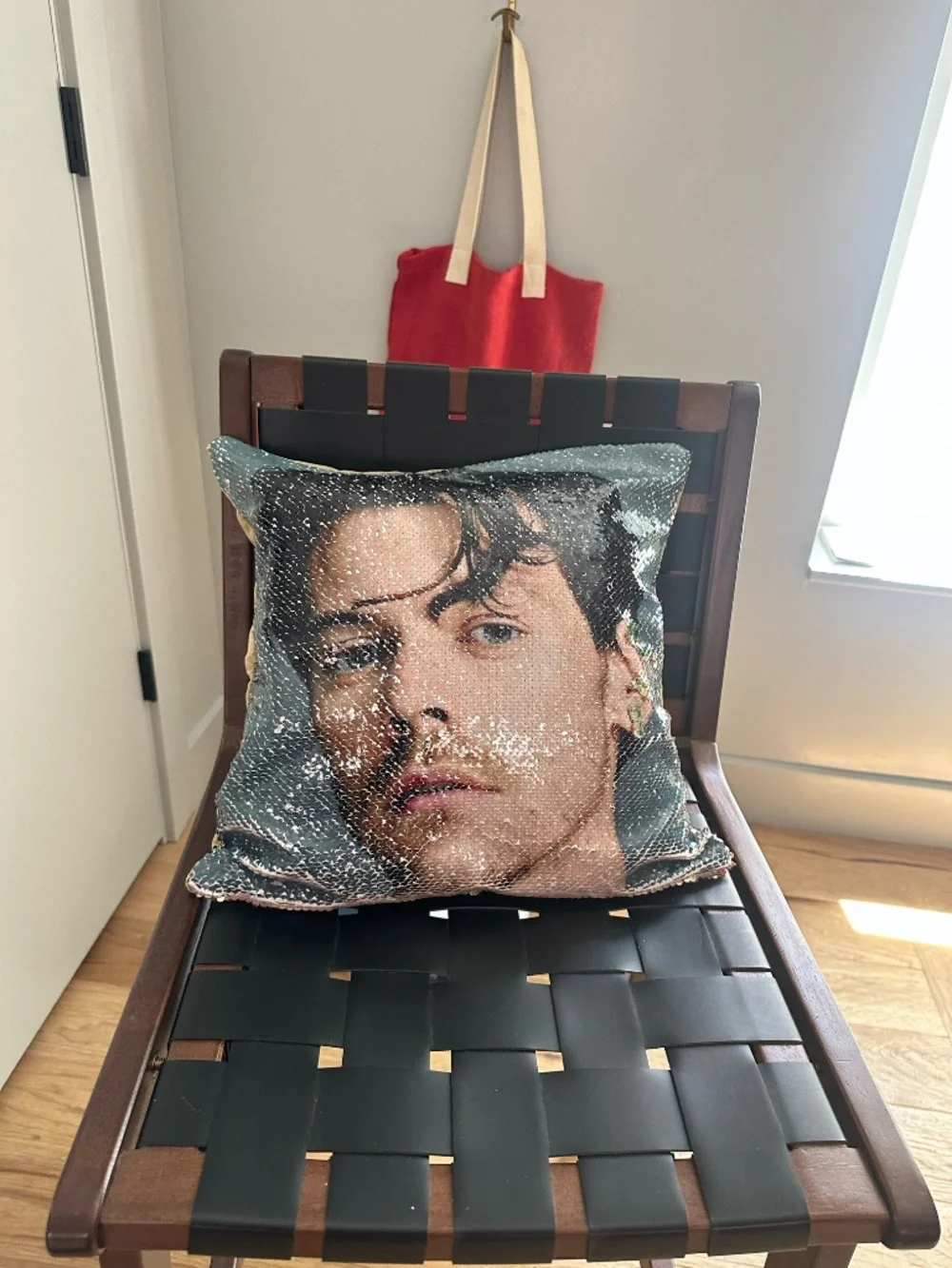 Harry Styles Reversible Sequin Flip Pillow